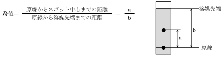 解説画像